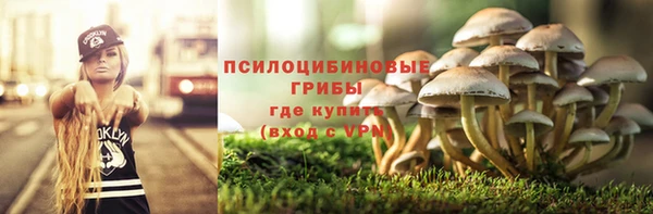 твердый Абинск