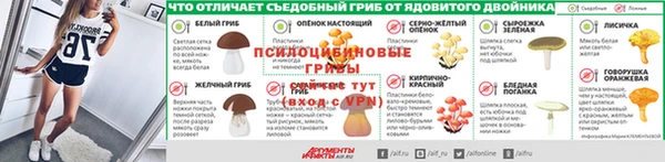 прущая мука Абаза