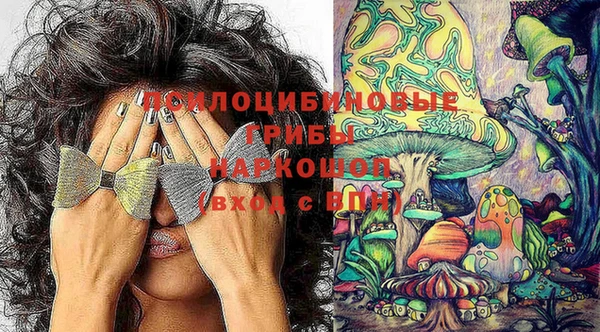 прущая мука Абаза