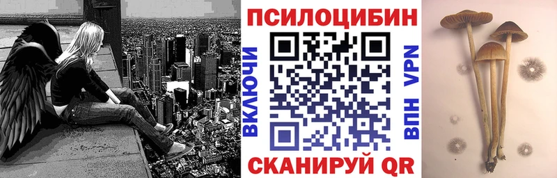 Псилоцибиновые грибы ЛСД  Абакан 